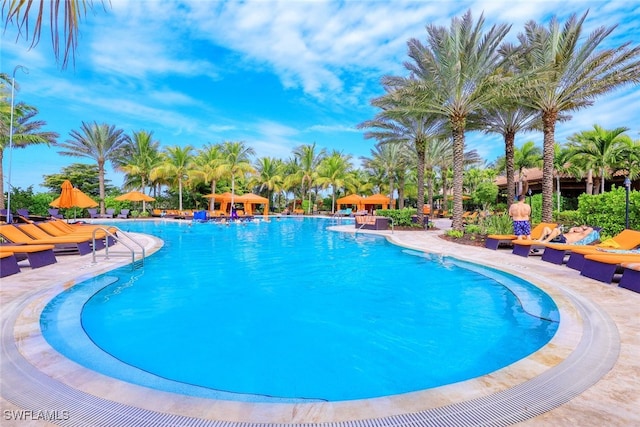 view of swimming pool with a patio area