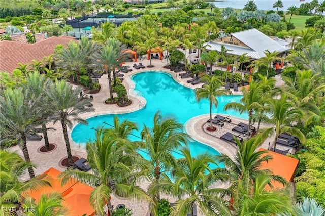 view of swimming pool with a patio area