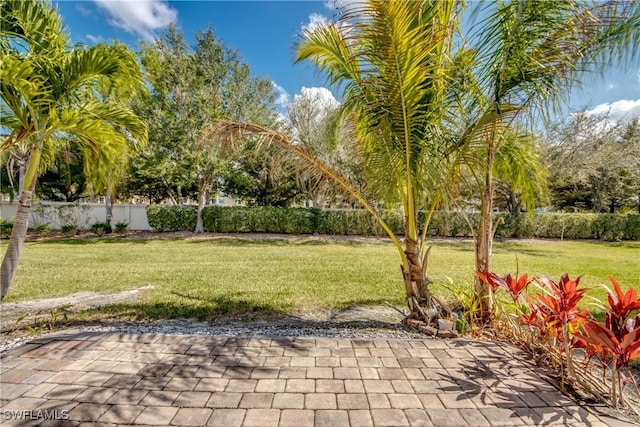 view of yard featuring a patio area