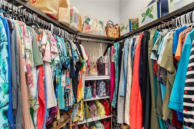 view of spacious closet