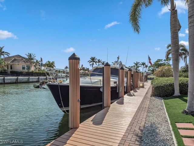 dock area with a water view