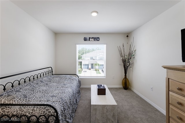 bedroom with carpet flooring