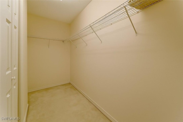 20037 Serene Meadow Ln, Estero, FL 33928 - spacious closet with light colored carpet