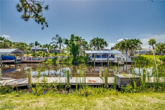 dock area with a water view