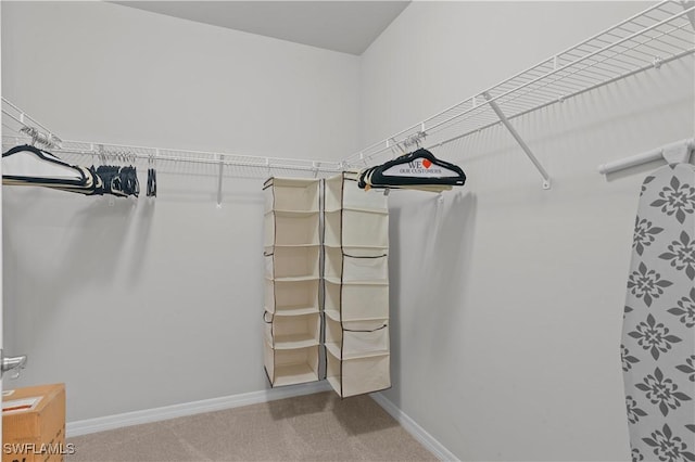 4320 Little Hickory Rd, Bonita Springs, FL 34134 - walk in closet featuring carpet floors