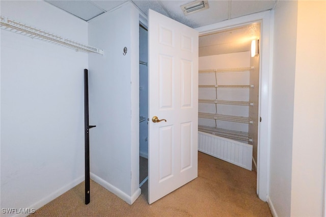 view of closet