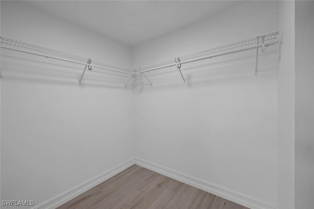 walk in closet featuring hardwood / wood-style floors