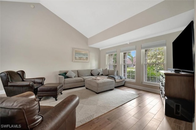 living room with high vaulted ceiling and light wood-type flooring