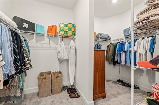 walk in closet with carpet floors