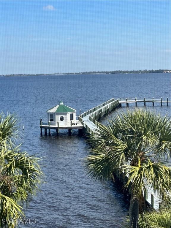 dock area with a water view