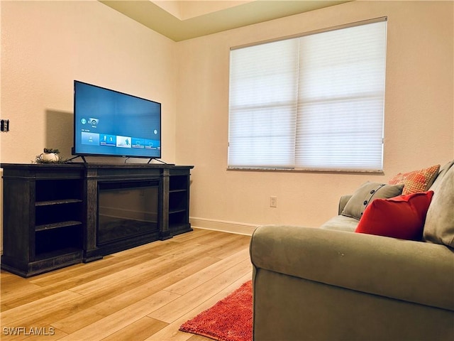 living room featuring wood-type flooring