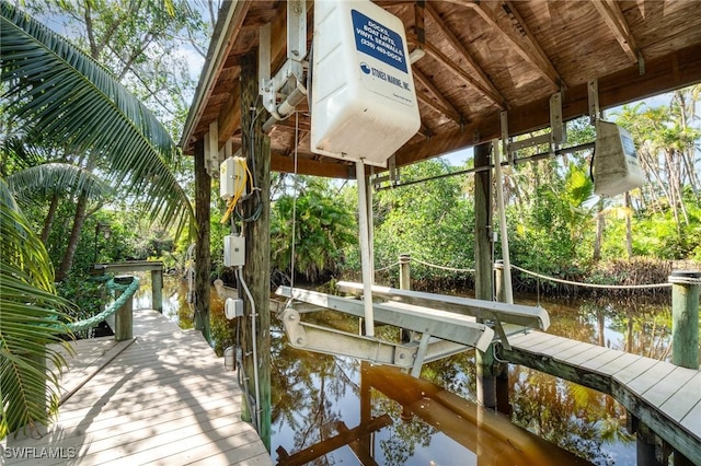 dock area with a water view