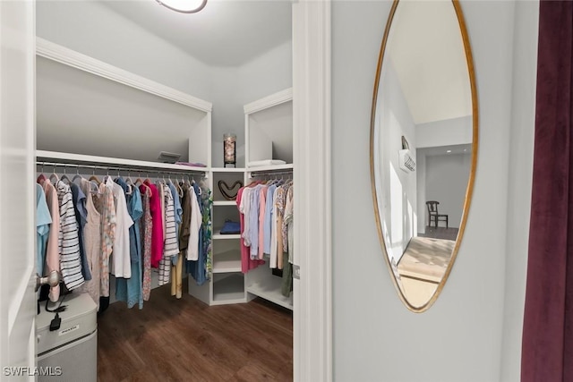 spacious closet with dark wood-type flooring