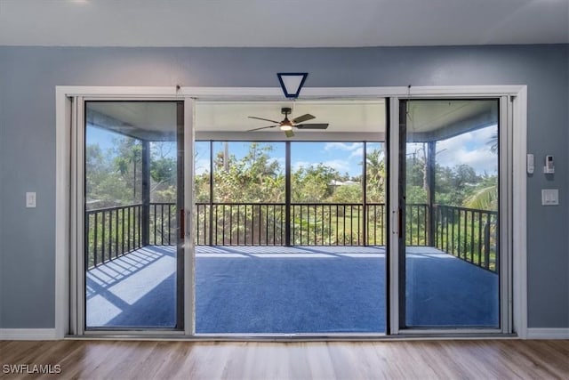 doorway featuring ceiling fan, a wealth of natural light, and wood-type flooring