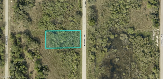 1413 Williams Ave, Lehigh Acres FL, 33972 land for sale