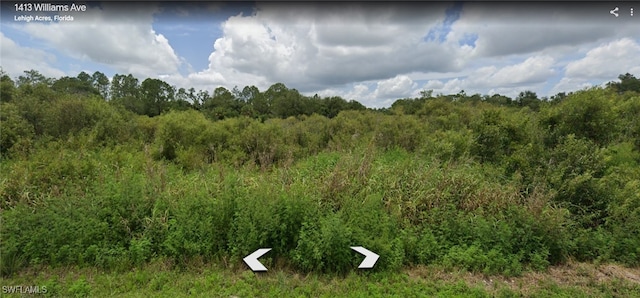 1413 Williams Ave, Lehigh Acres FL, 33972 land for sale