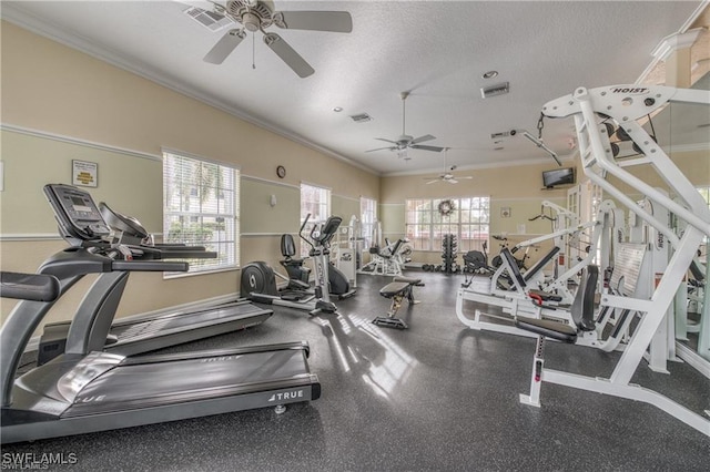 exercise room with crown molding and a textured ceiling