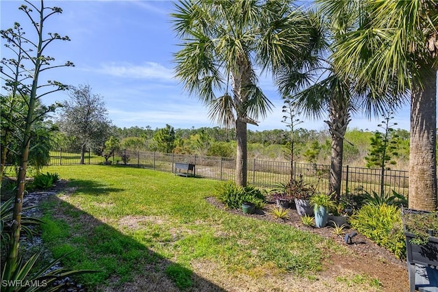 view of yard with a rural view