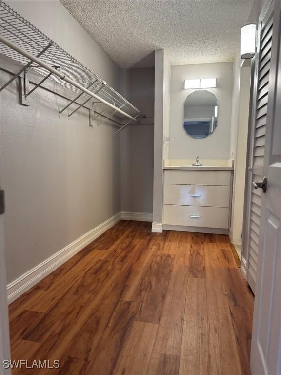 spacious closet featuring a sink and wood finished floors