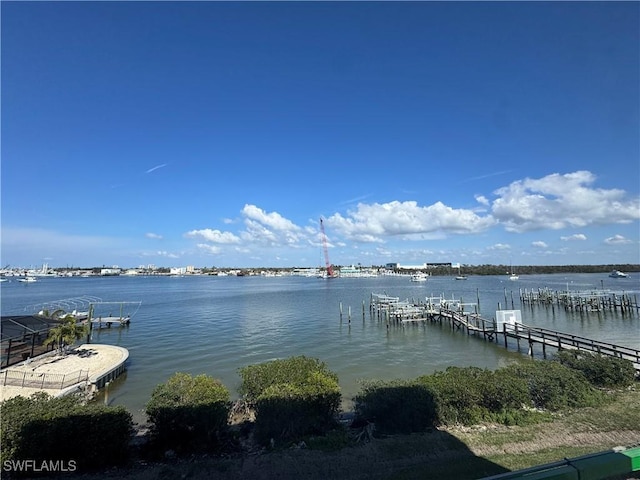 dock area with a water view