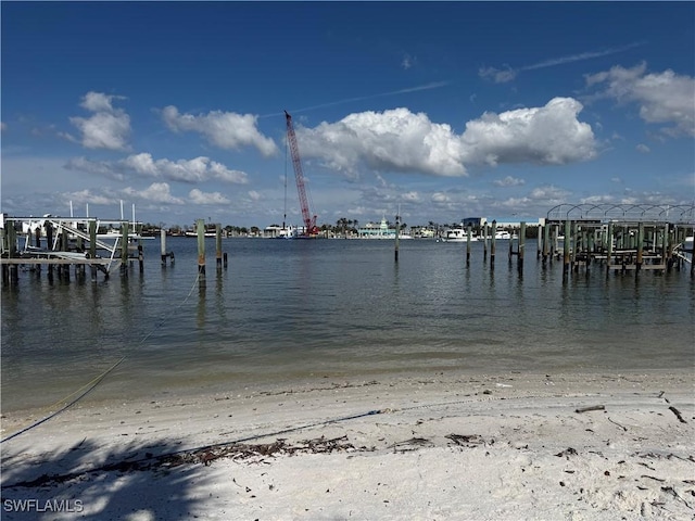 dock area with a water view