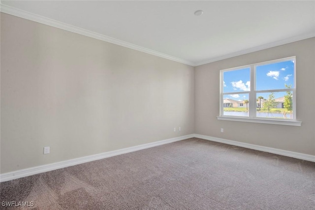 spare room with ornamental molding and carpet flooring