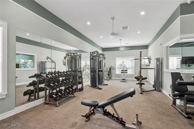 workout area with carpet