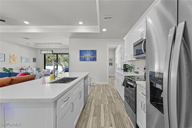 kitchen featuring stainless steel appliances, a tray ceiling, sink, and white cabinets