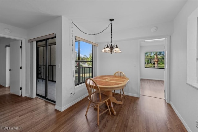 dining room featuring a notable chandelier, hardwood / wood-style floors, and a wealth of natural light