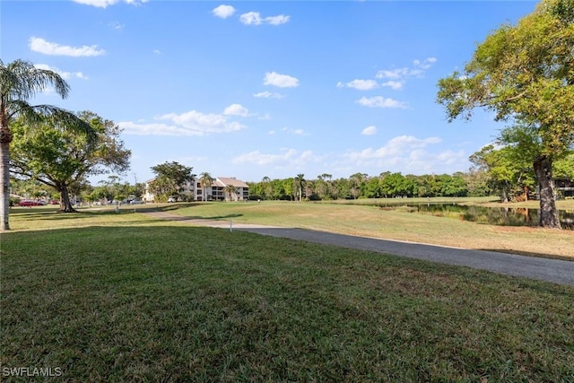 view of property's community with a yard