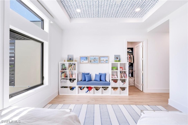 interior space featuring a tray ceiling and light wood-type flooring