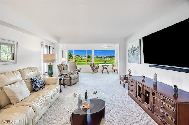 living room with carpet floors