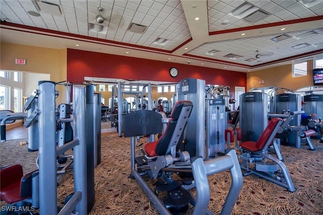 workout area featuring visible vents, a drop ceiling, carpet floors, and plenty of natural light