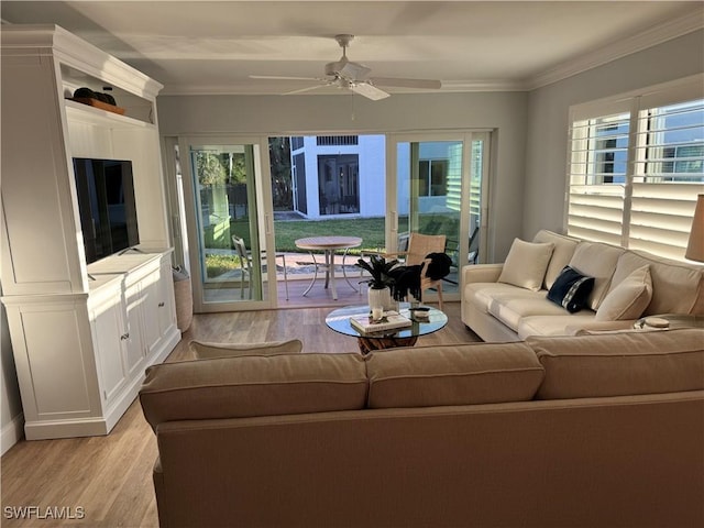 living room with ornamental molding, light hardwood / wood-style floors, and a healthy amount of sunlight