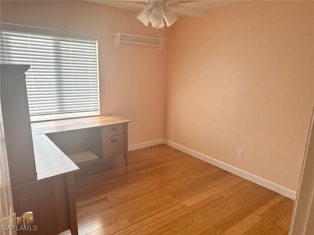 empty room with ceiling fan and light hardwood / wood-style floors