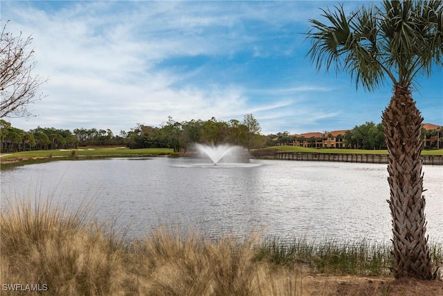 view of water feature