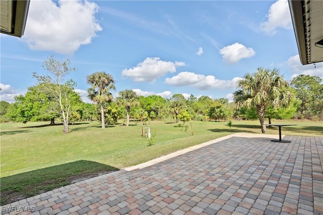 surrounding community with a patio area and a lawn