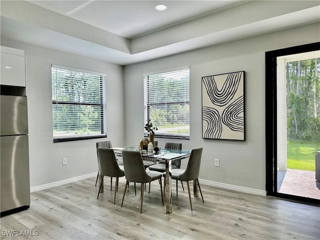 dining area with light hardwood / wood-style floors