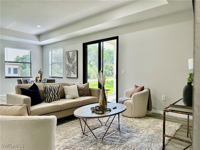 living room featuring a tray ceiling, wood-type flooring, and plenty of natural light