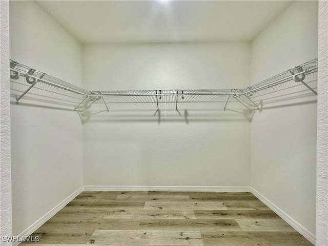 walk in closet featuring hardwood / wood-style floors