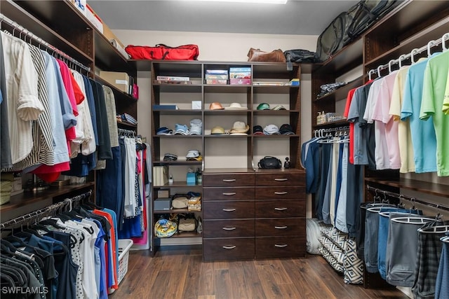 walk in closet with dark wood-type flooring