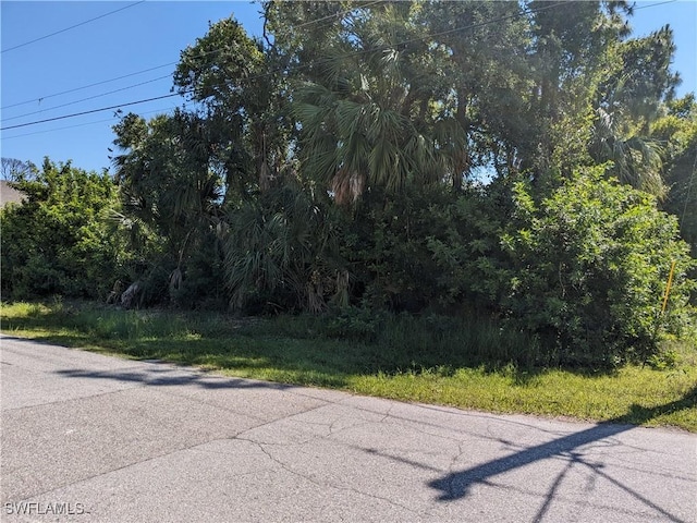 Listing photo 2 for 744 Chestnut St E, Lehigh Acres FL 33974