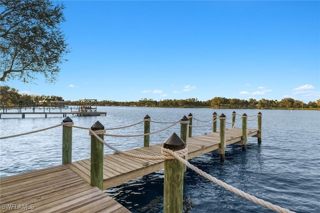 dock area featuring a water view