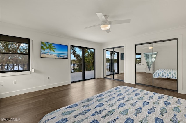 bedroom featuring ceiling fan, dark hardwood / wood-style floors, ornamental molding, two closets, and access to outside