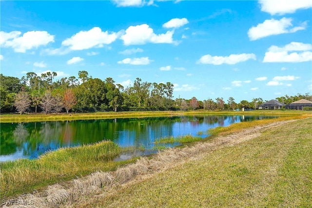 property view of water