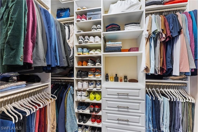 view of spacious closet