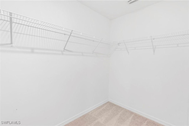 12230 Dakota Ridge Pl, Lehigh Acres, FL 33974 - spacious closet with light colored carpet