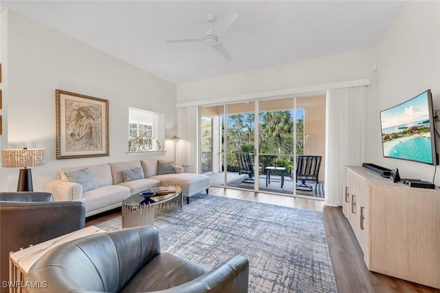 living room with ceiling fan and hardwood / wood-style floors