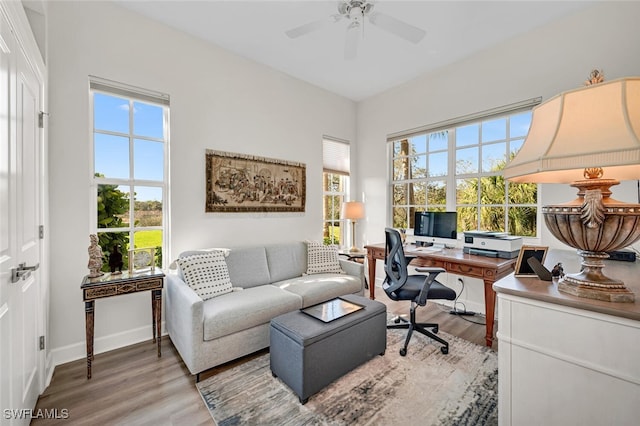 office space with hardwood / wood-style flooring, plenty of natural light, and ceiling fan