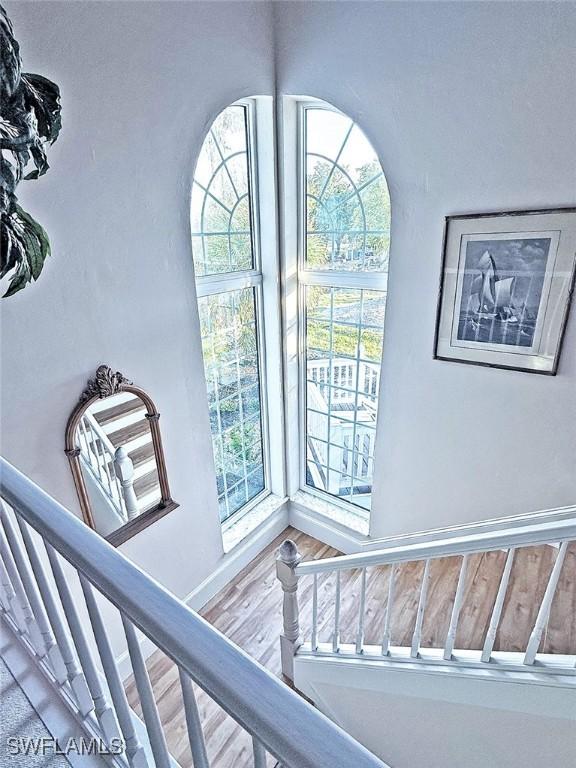 stairway featuring wood-type flooring and a healthy amount of sunlight